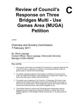 Use Games Area (MUGA) - Crawley Borough Council