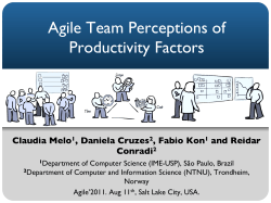 Agile Team Perceptions of Productivity Factors