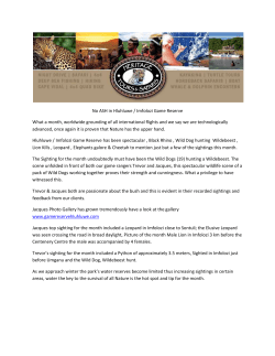 Top Sightings Hluhluwe Game Reserve