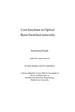 Cost functions in Optical Burst-Switched networks - DORAS