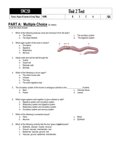 Multiple Choice
