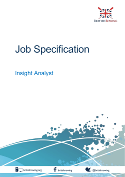 Job Specification Insight Analyst Job Title Insight Analyst Reports to