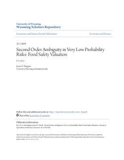 Second Order Ambiguity in Very Low Probability Risks