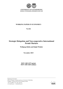 Strategic Delegation and Non-cooperative International