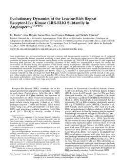 Evolutionary Dynamics of the Leucine-Rich