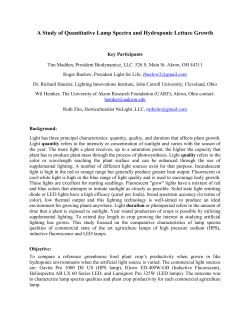 A Study of Quantitative Lamp Spectra and Hydroponic