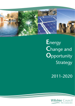 Strategy Energy Change and Opportunity
