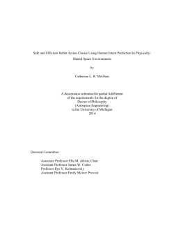 Safe and Efficient Robot Action Choice Using Human