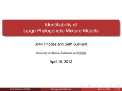 Identifiability of Large Phylogenetic Mixture Models