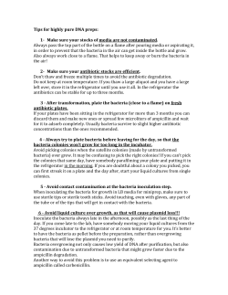 Tips for highly pure DNA preps