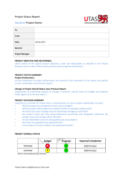 Project Status Report Guide