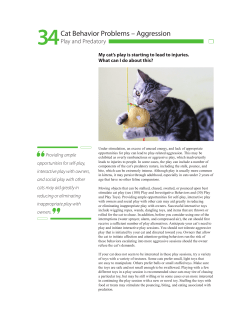 34 Cat Behavior Problems &ndash; Aggression