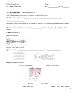Cell Transport