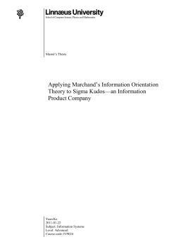 Applying Marchand`s Information Orientation Theory to
