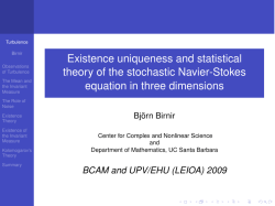 Existence uniqueness and statistical theory of the stochastic Navier