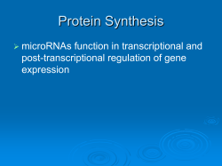 PowerLecture: Chapter 28 - Rochester Community Schools