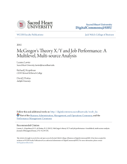 McGregor`s Theory X/Y and Job Performance