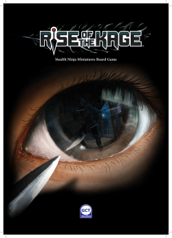 Stealth Ninja Miniatures Board Game