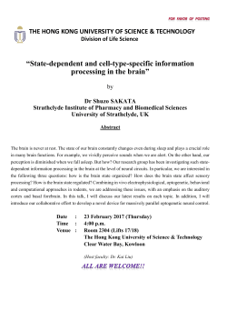 State-dependent and cell-type-specific information processing in the