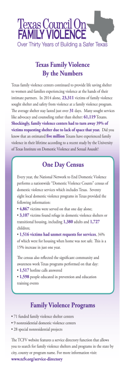 Texas Family Violence By the Numbers One Day Census Family