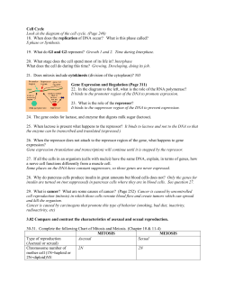 Cell Cycle Look at the diagram of the cell cycle. (Page 248) 18