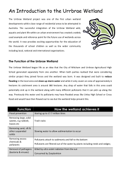 The Function of the Urrbrae Wetland