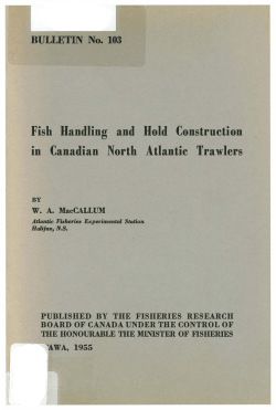 Fish Handling and Hold Construction in Canadian North Atlantic