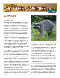 Louisiana Critter Corner February 2013