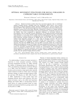 optimal movement strategies for social foragers in unpredictable