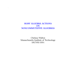 HOPF ALGEBRA ACTIONS ON NONCOMMUTATIVE ALGEBRAS