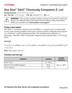 One Shot Stbl3 Chemically Competent E. coli