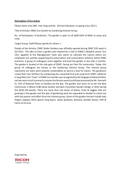 Read More - Eco Action Day