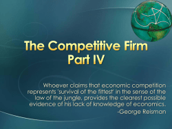 THE COMPETITIVE FIRM PART IV