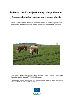 Between devil and (not a very) deep blue sea