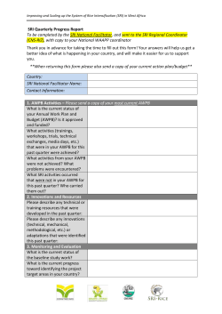 SRI National Facilitators report template