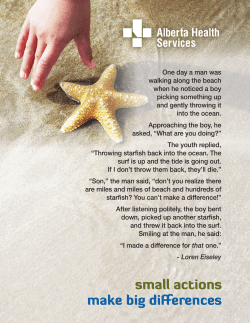 National Addiction Awareness Week Small Actions Make Big