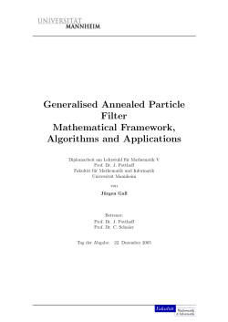 Generalised Annealed Particle Filter Mathematical Framework
