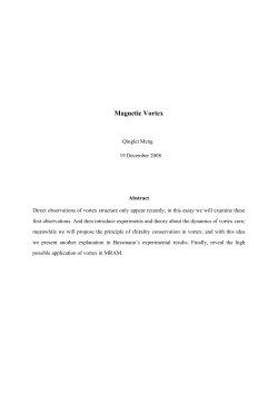 Magnetic Vortex