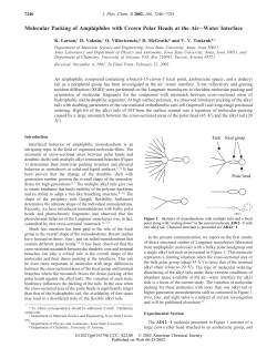 Molecular Packing of Amphiphiles with Crown Polar Heads at the Air