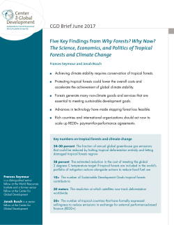 The Science, Economics, and Politics of Tropical Forests