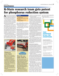 K-State research team gets patent for phosphorus reduction system