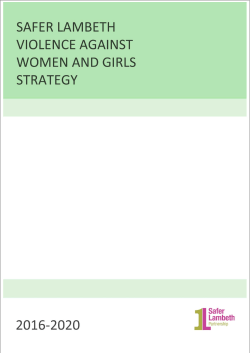 (VAWG) strategy 2016-2020