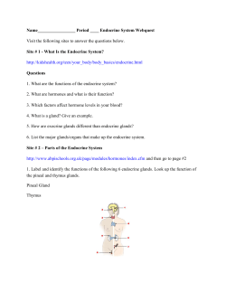 Endocrine Webquest