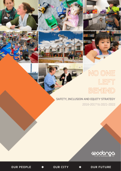 Safety, Inclusion, and Equity Strategy