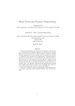 Shape-Preserving Dynamic Programming