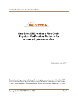 One-Shot DRC within a Fine-Grain Physical