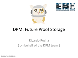 DPM: Future Proof Storage
