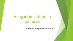 Hungarian cuisine in pictures File