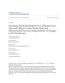 Increasing Tetrahydrobiopterin in Cardiomyocytes Adversely Affects