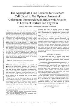 The Appropriate Time Required for Newborn Calf Camel to Get